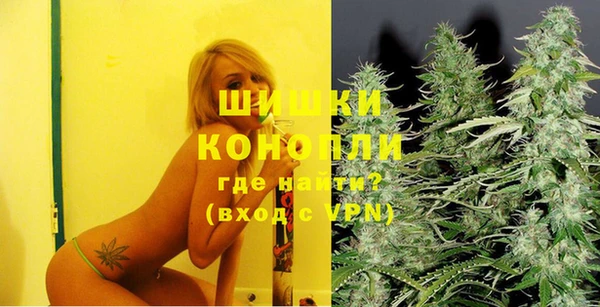 прущие грибы Покров