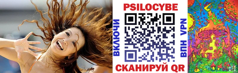 кракен ТОР  как найти закладки  Выборг  Псилоцибиновые грибы Psilocybine cubensis 