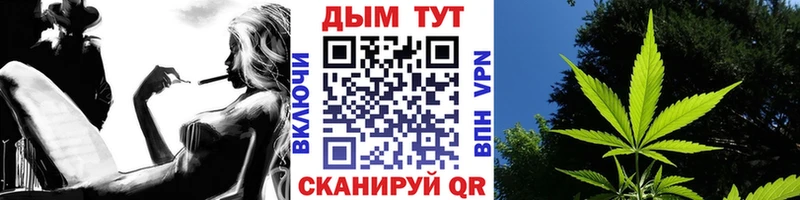 купить наркоту  Выборг  Шишки марихуана индика 
